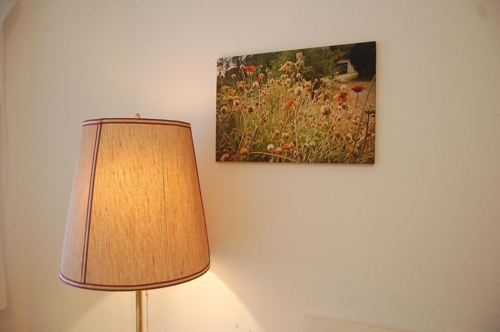 Greencity Boardinghouse Fribourg im Breisgau Extérieur photo